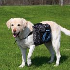 Trixie Plecak dla psa rozmiar L (30103)